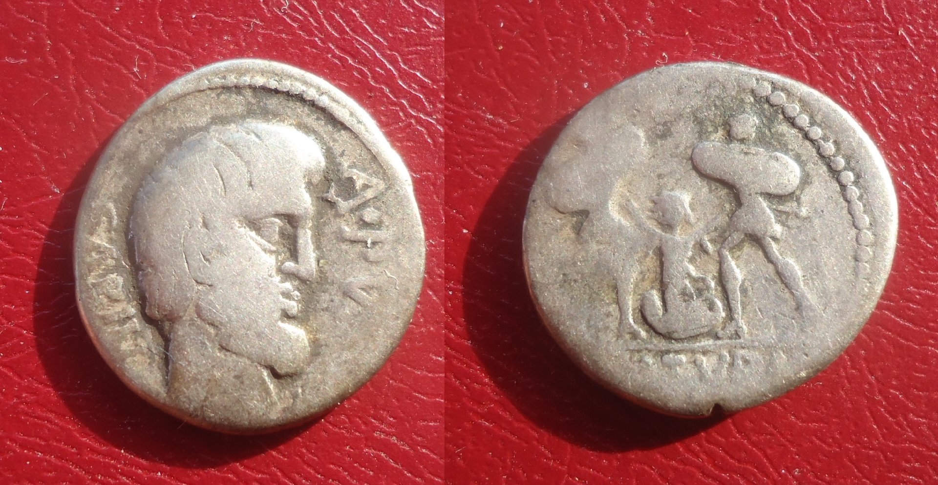 RR - Tituria 5 denarius 2013 (0).jpg