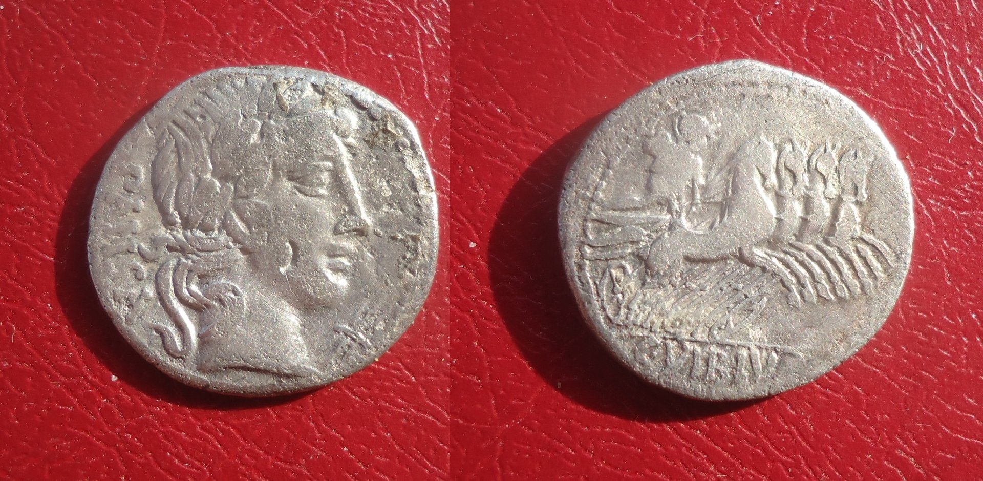 RR - Vibia 1 denarius Oct 2018 (0).jpg