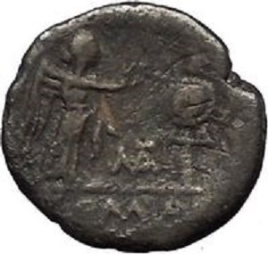 RR victoriatus reverse.jpg