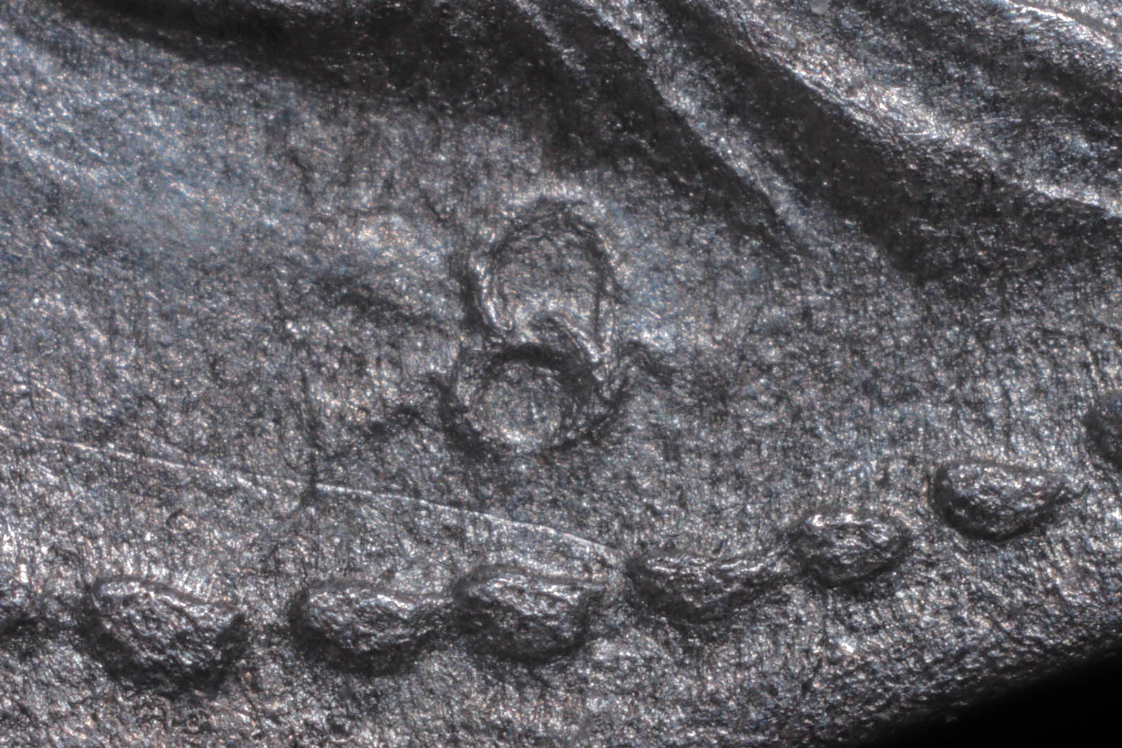 rre1263fd3389inset.jpg