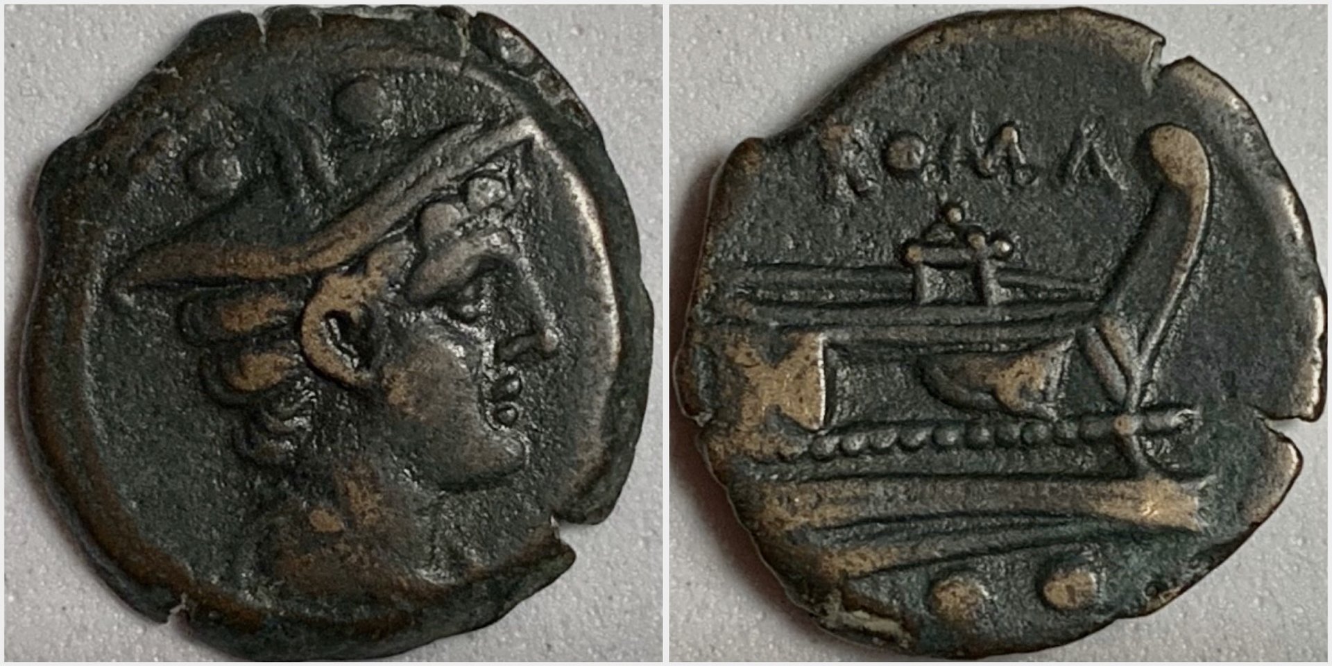 RRSextansCr56-6.JPG