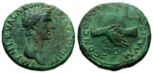 RS018-Nerva.JPG