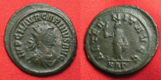 RS083-Carinus.JPG