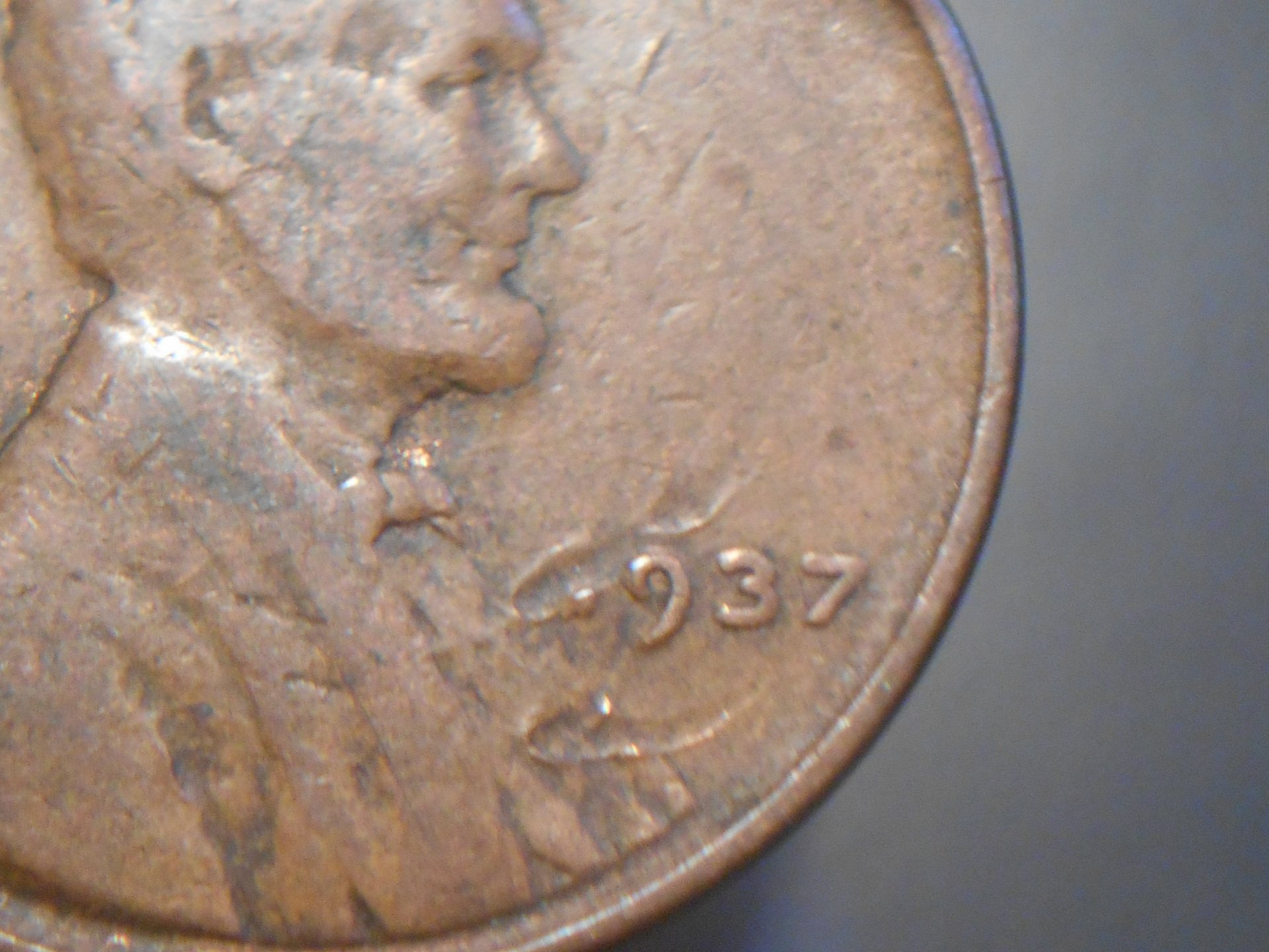 RSCN0722.JPG