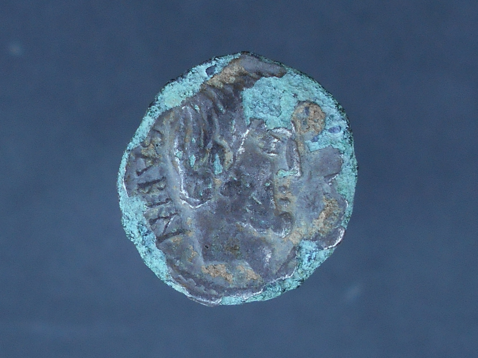 RSCN2064.JPG