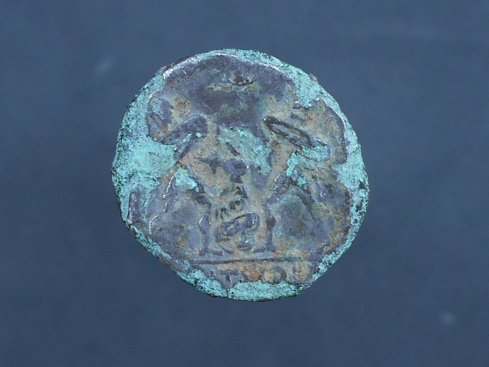 RSCN2067.JPG