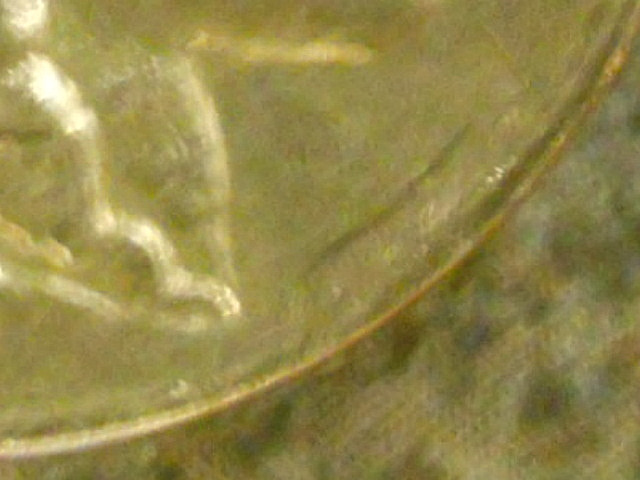 RSCN8481.JPG