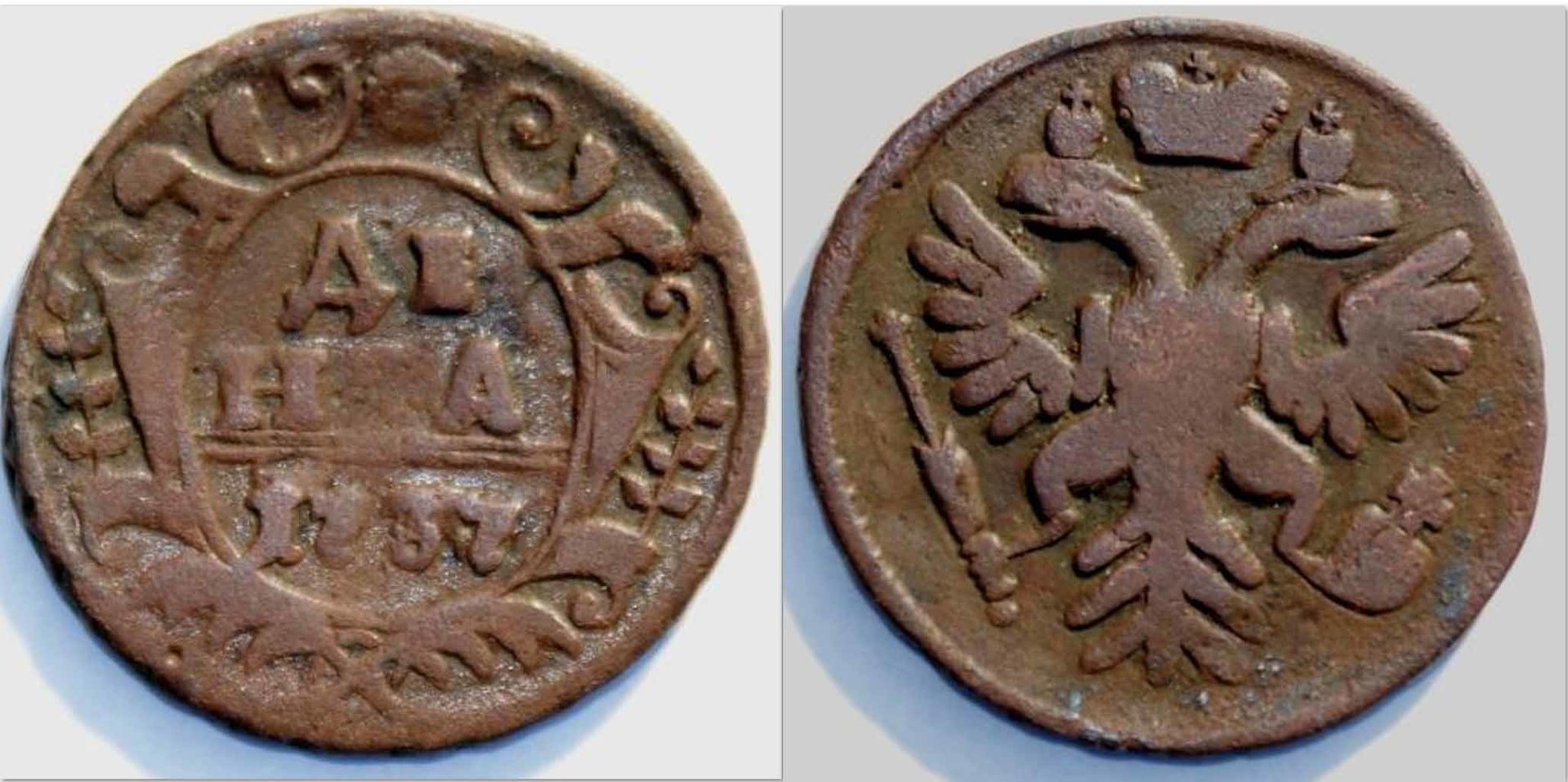 RUDenga1737.jpg