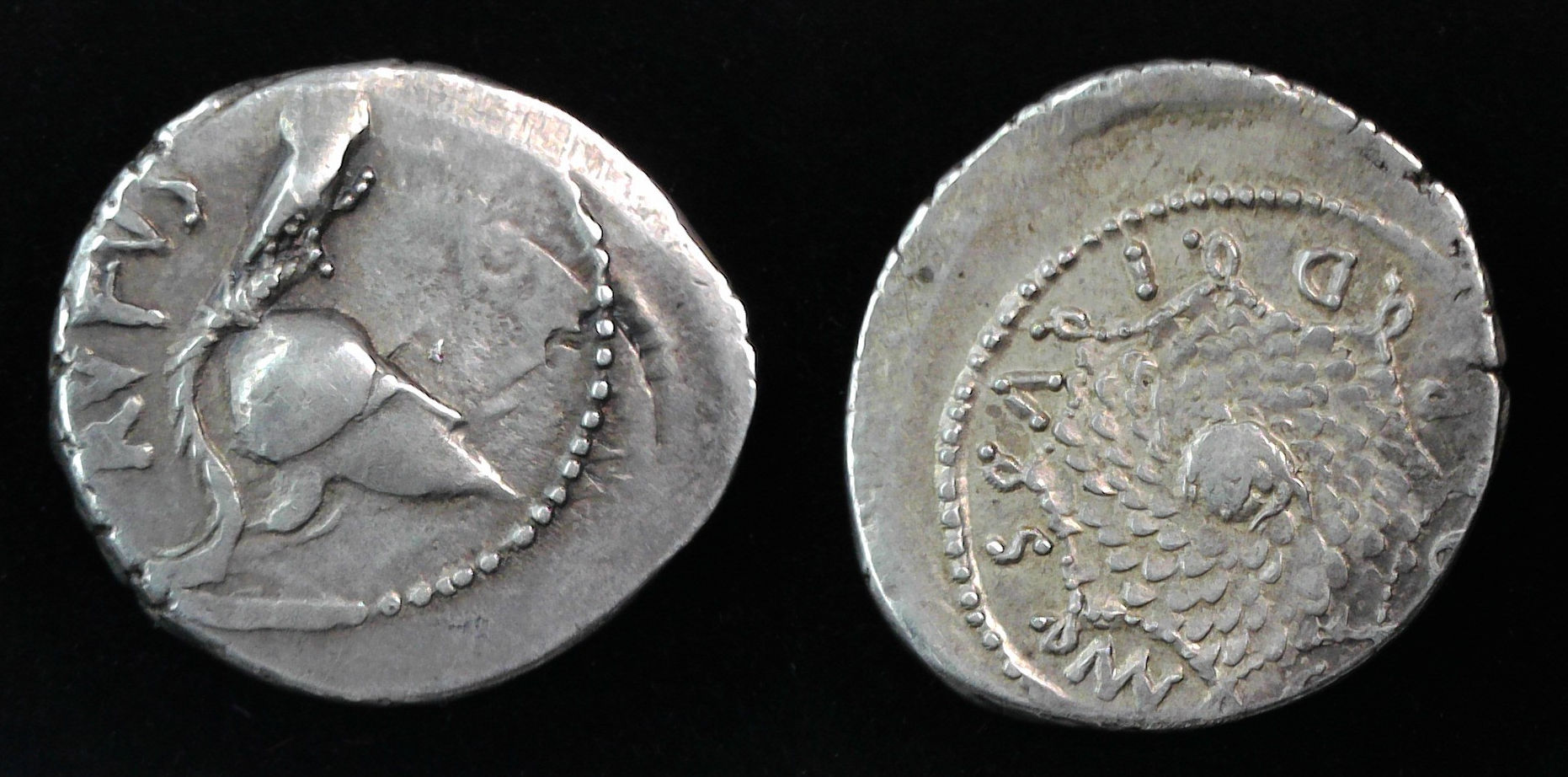 Rufus 2 Denarius.jpg