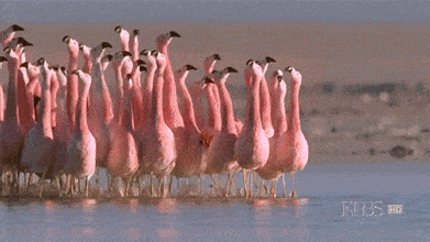 rUil2ul.gif