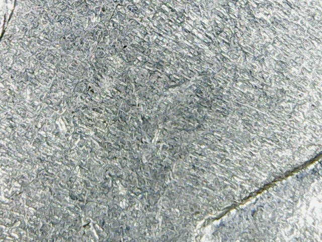 Rupee 5.JPG