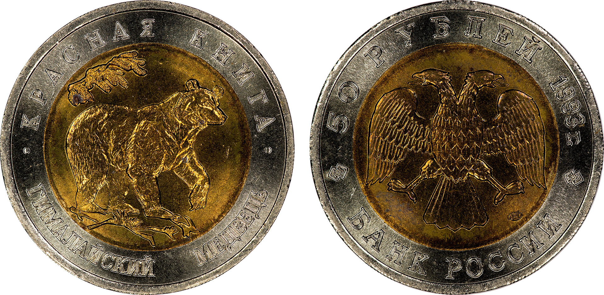 Russia - 1993 50 Rubles (Black Bear).jpg