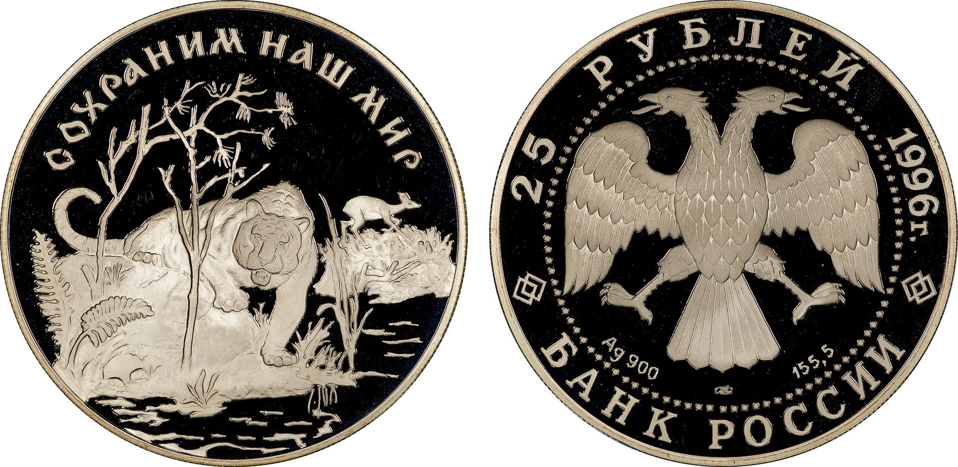 Russia - 1996 25 Roubles.jpg