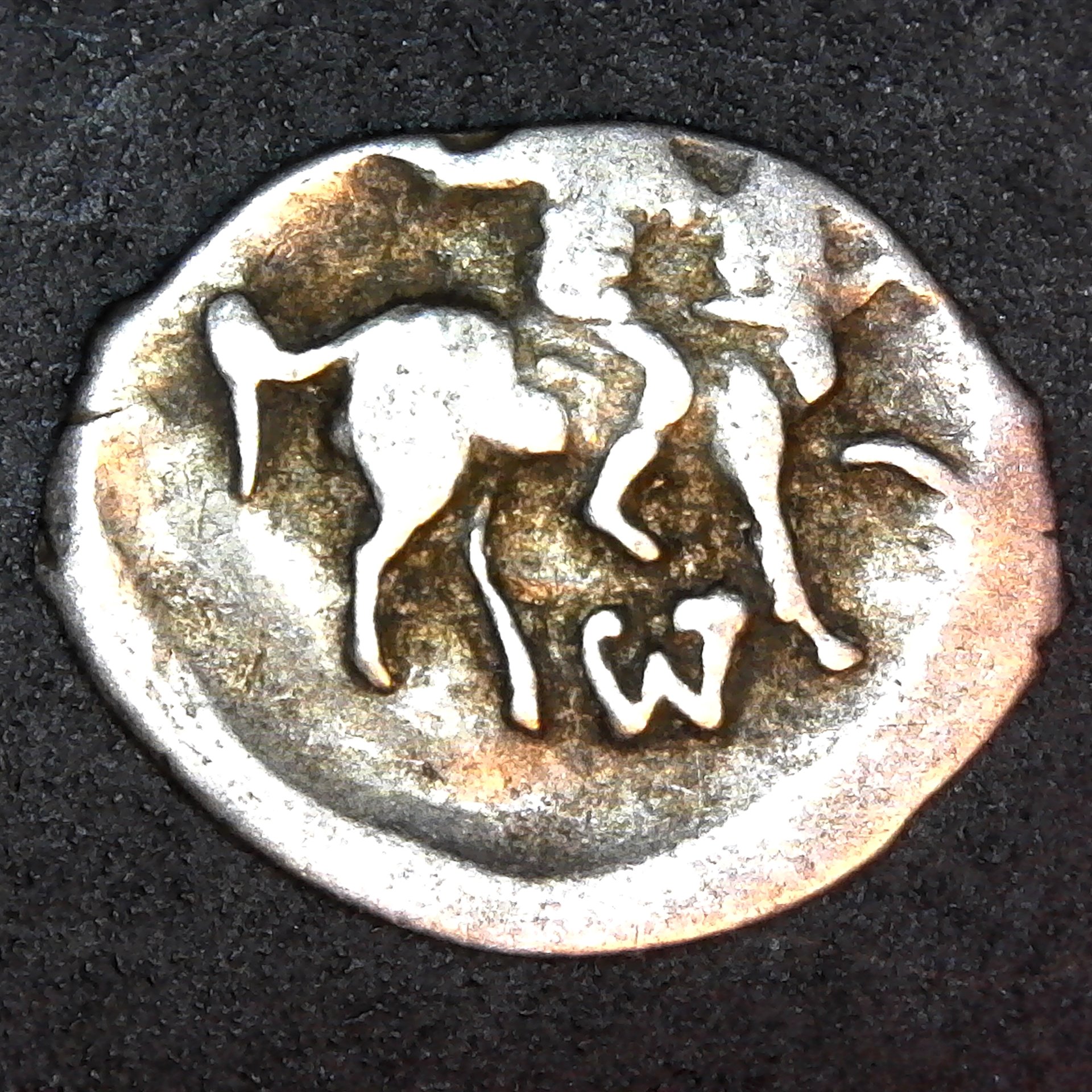 Russia, Ivan the Terrible (1530-1584AD), silver denga, 1535-1538AD obv.jpg