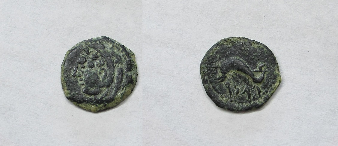 Ryro coin.JPG