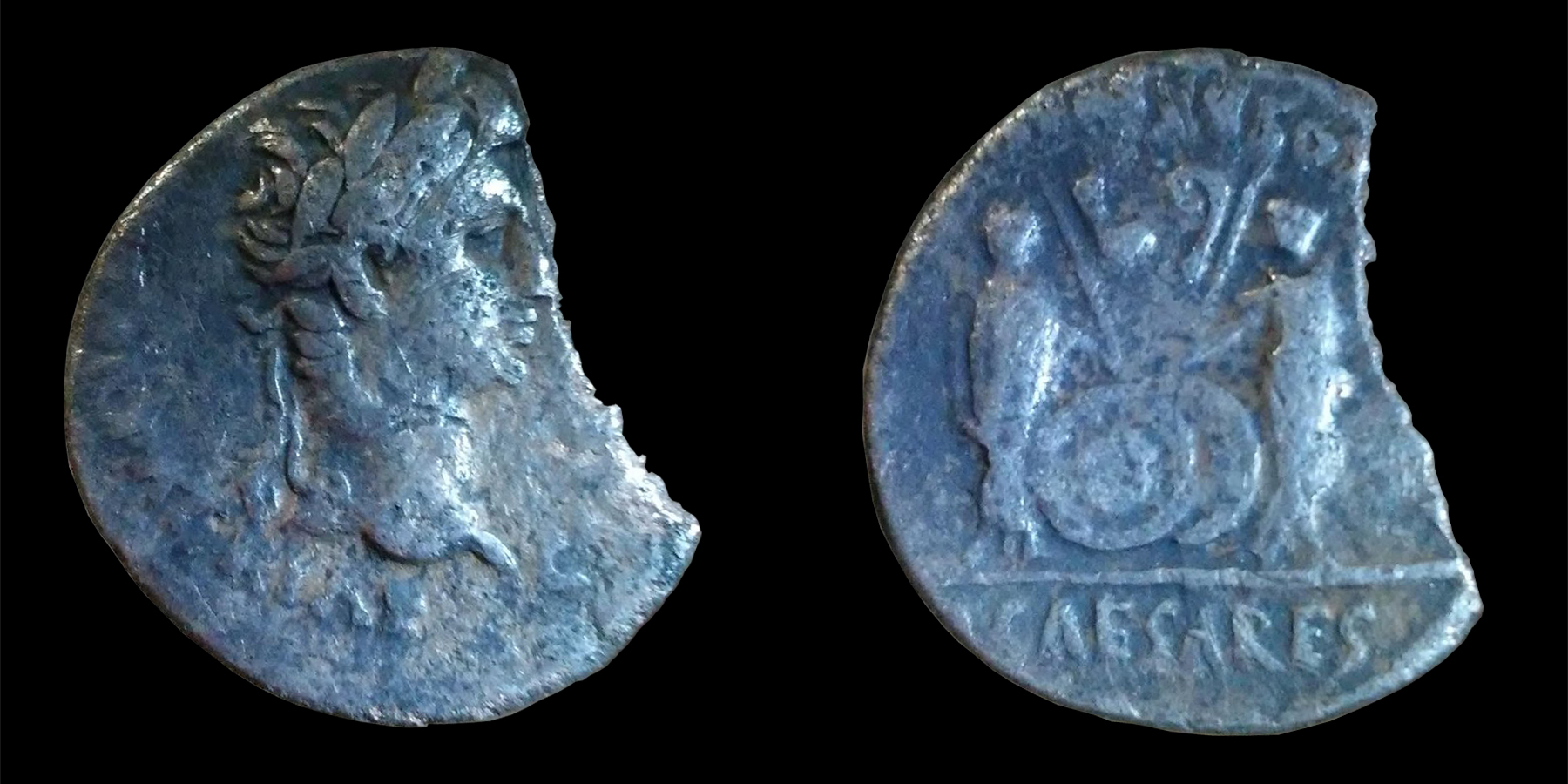 Ryro_fig4.jpg