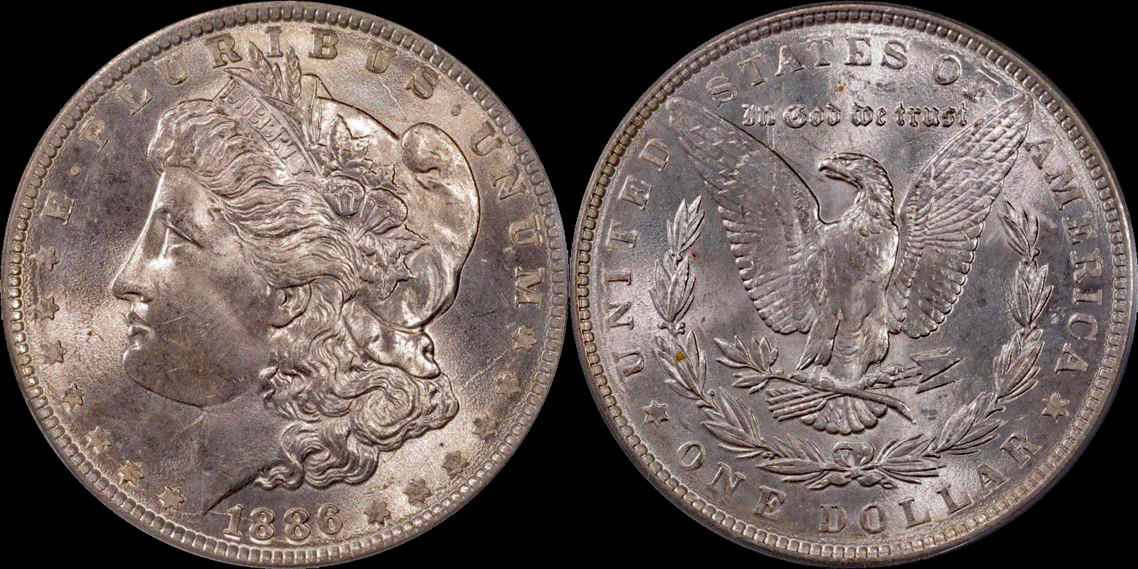 S$1 1886 #02 full 01.gif