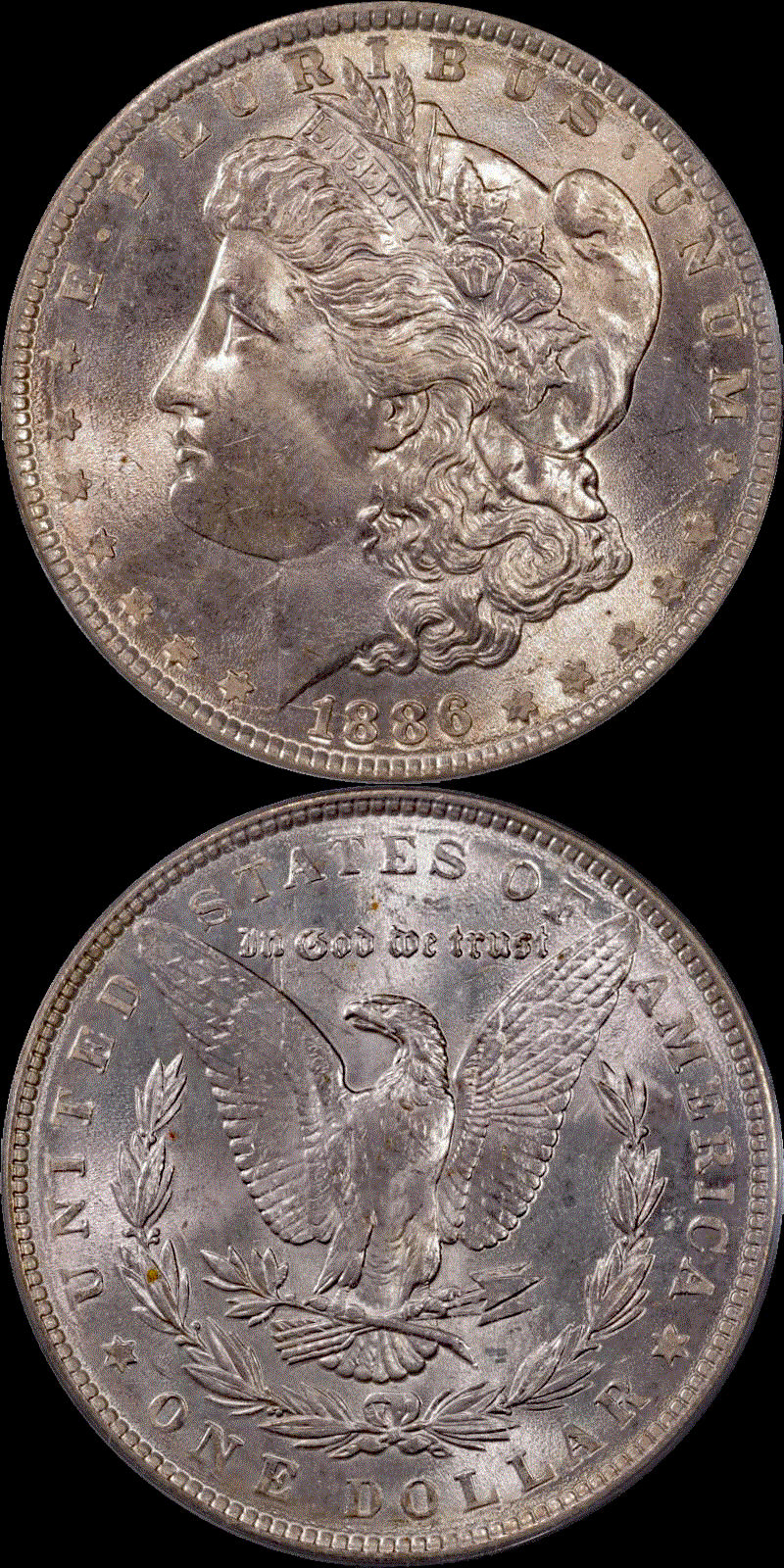 S$1 1886 #02 full 01.gif