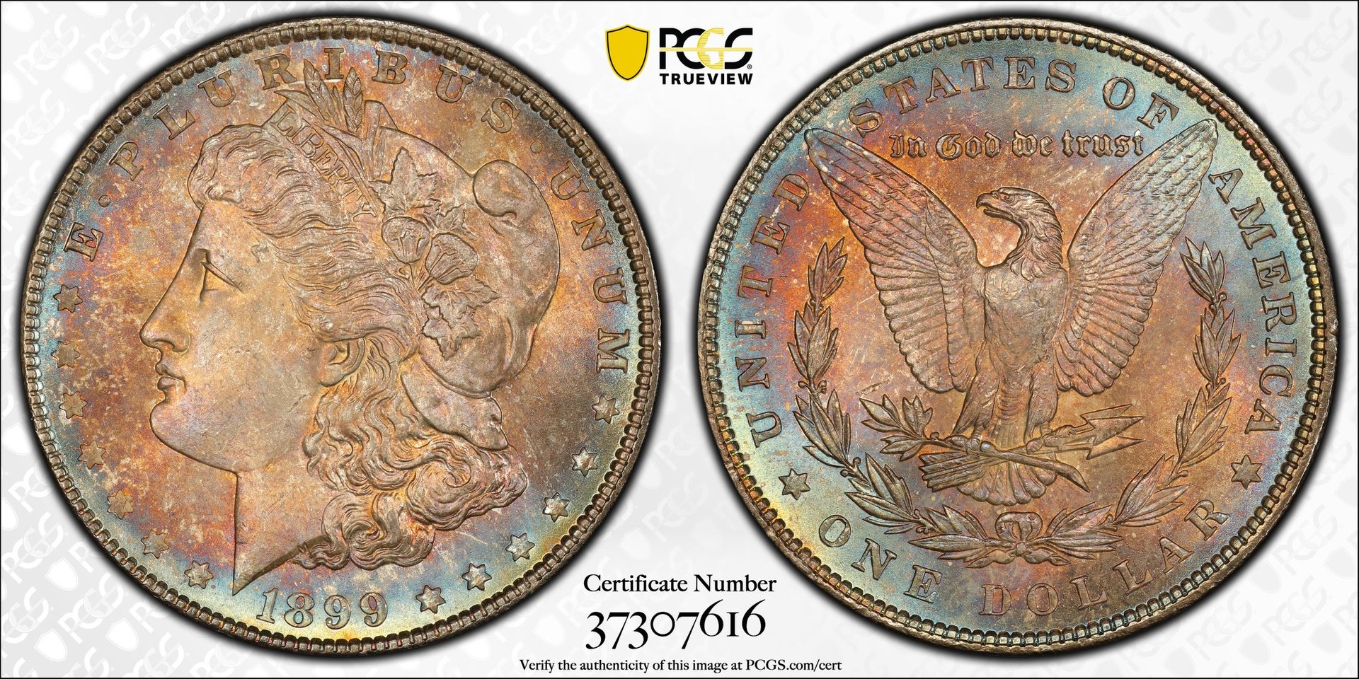 S$1 1899 MS66+ PCGS CAC 37307616 Trueview.jpg