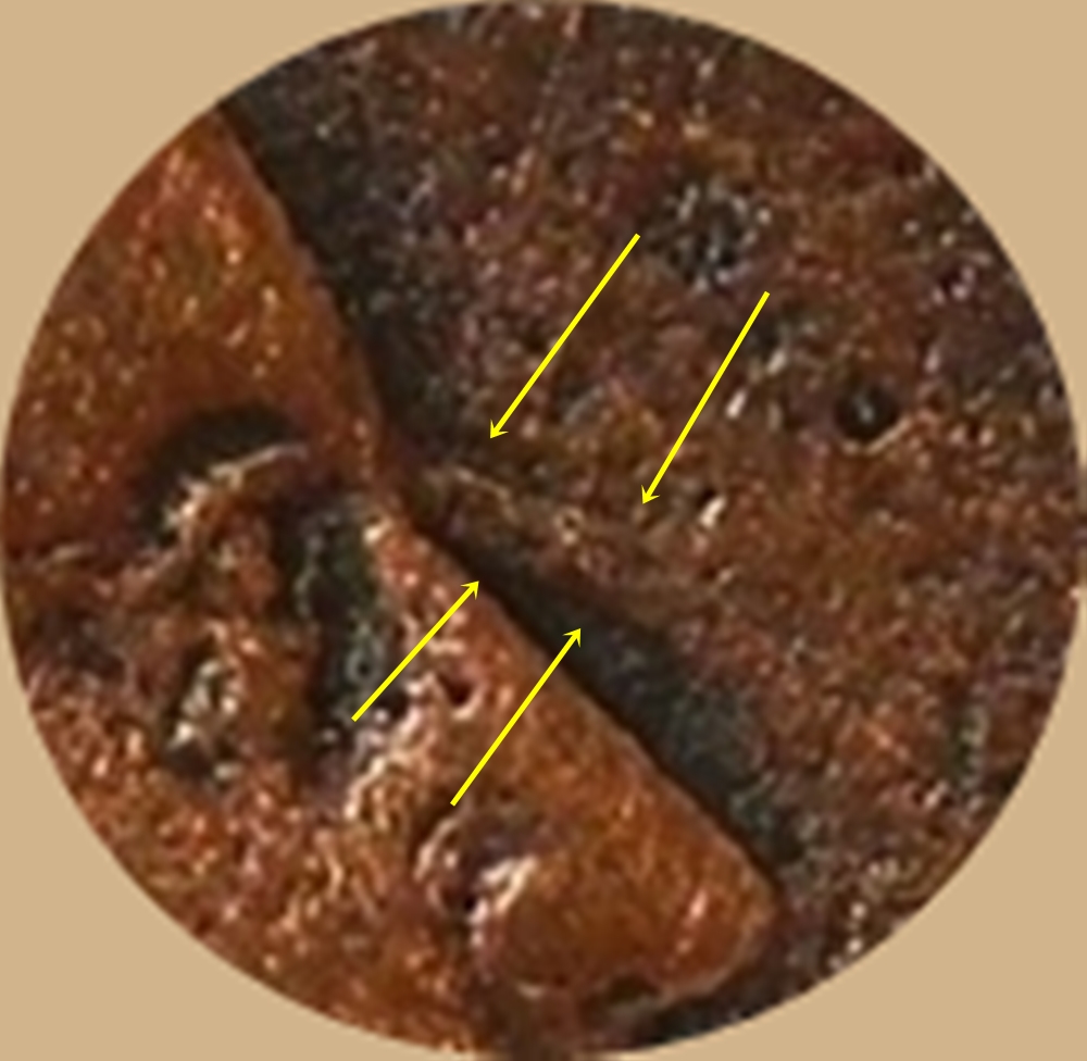 S-133 V Obverse.jpg