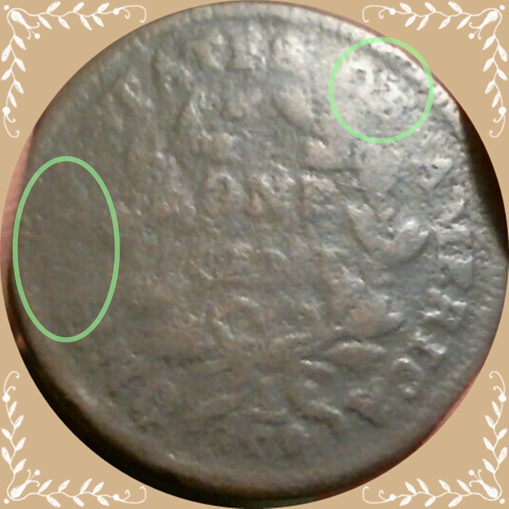 S-139 Reverse.jpg