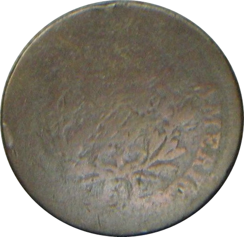 S-147 Reverse.jpg