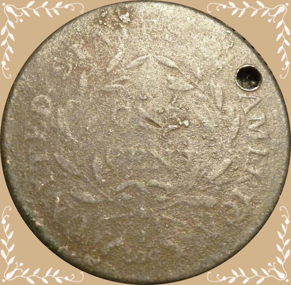 S-178 Reverse.jpg