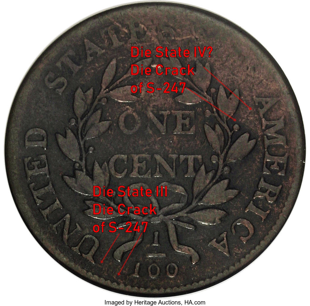 S-247 Reverse.jpg