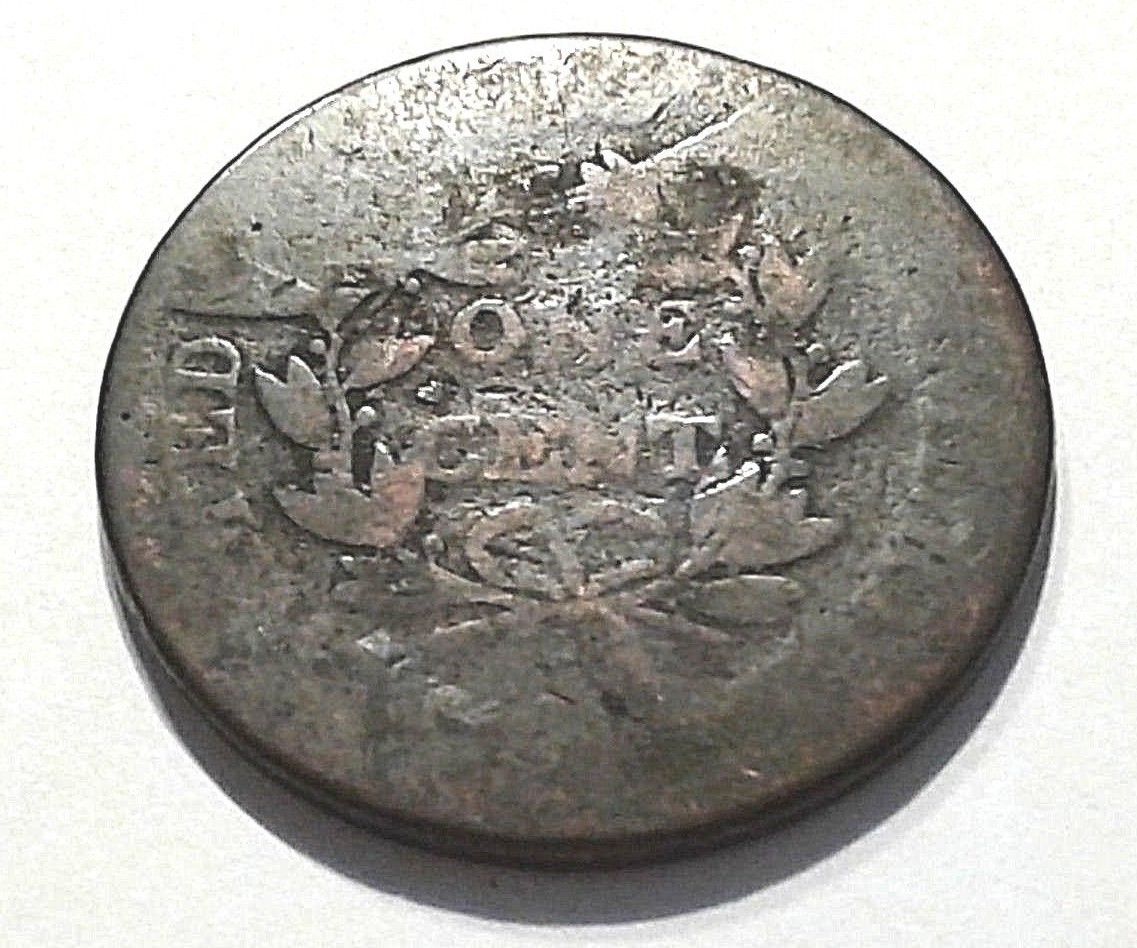 S-263 Reverse.jpg