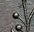 S-43 Berry - top of 2 under D.jpg