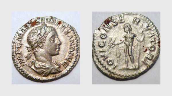 S Alexander 1_opt.jpg