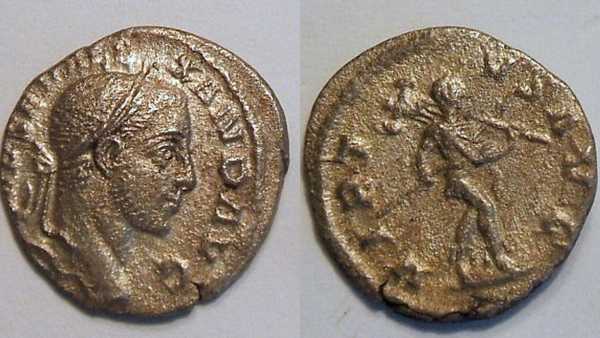 S Alexander 2_opt.jpg