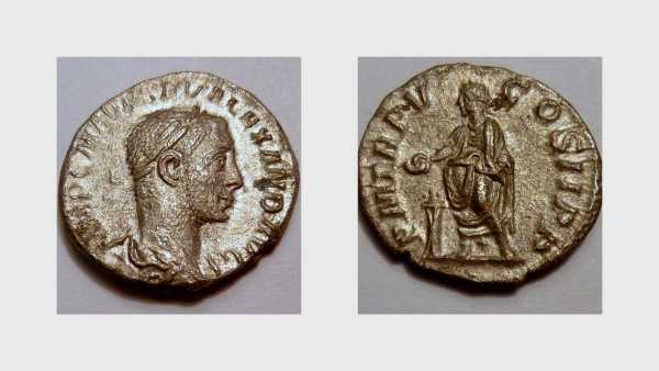 S Alexander 3_opt.jpg