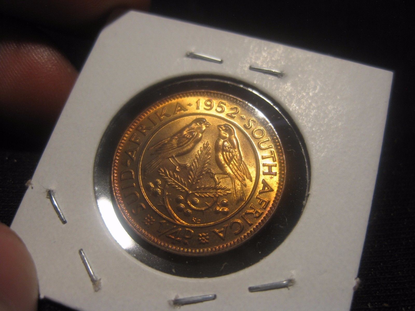 s-l1600-1.jpg