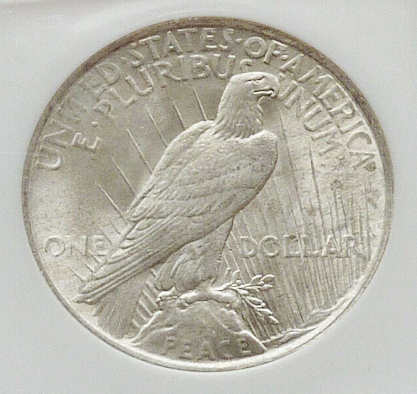 s-l1600 (2).jpg