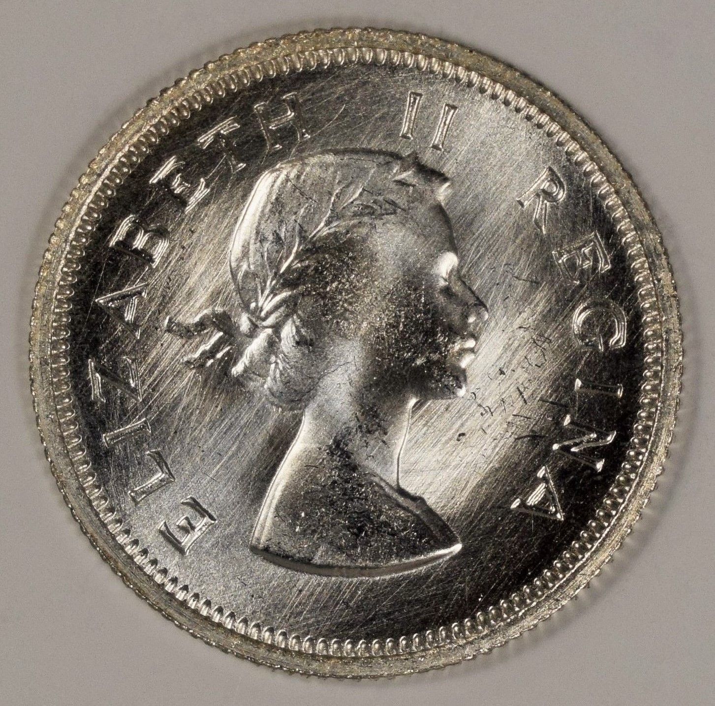 s-l1600-3 copy 7.jpg
