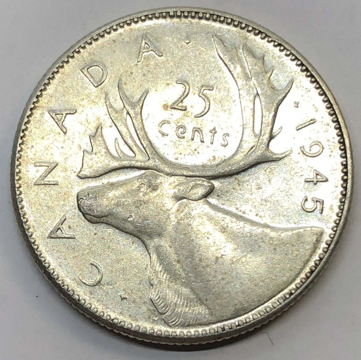 s-l1600 (4).jpg