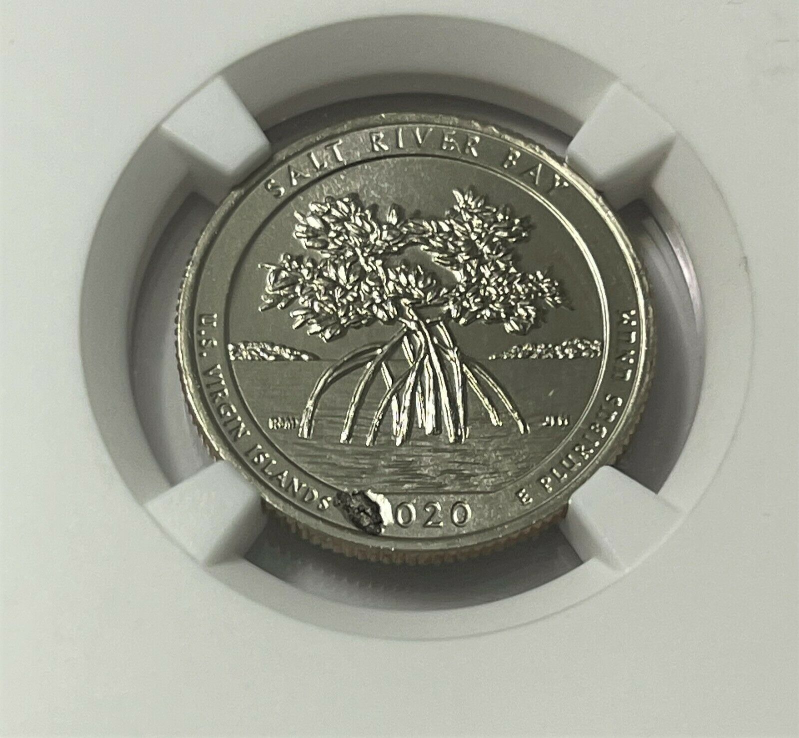 s-l1600.jpg