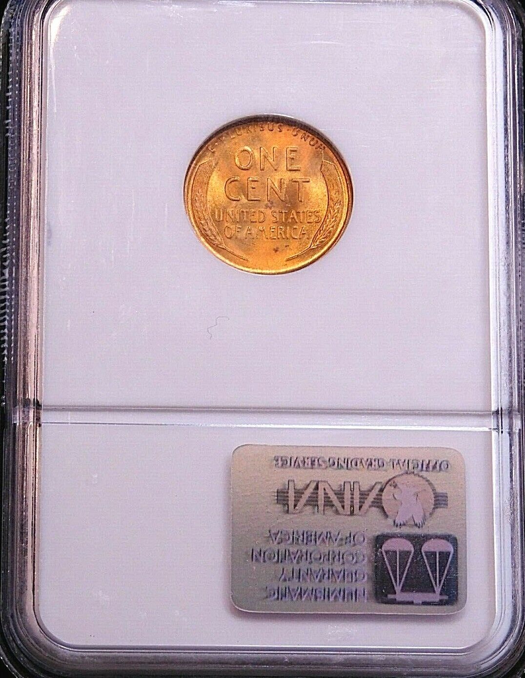 s-l1600.jpg
