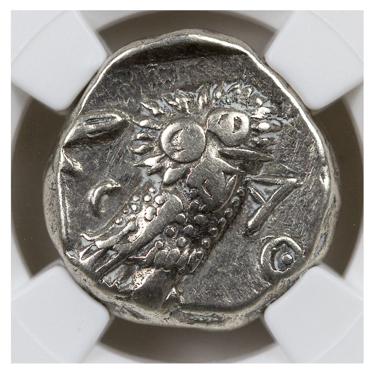 s-l1600.jpg