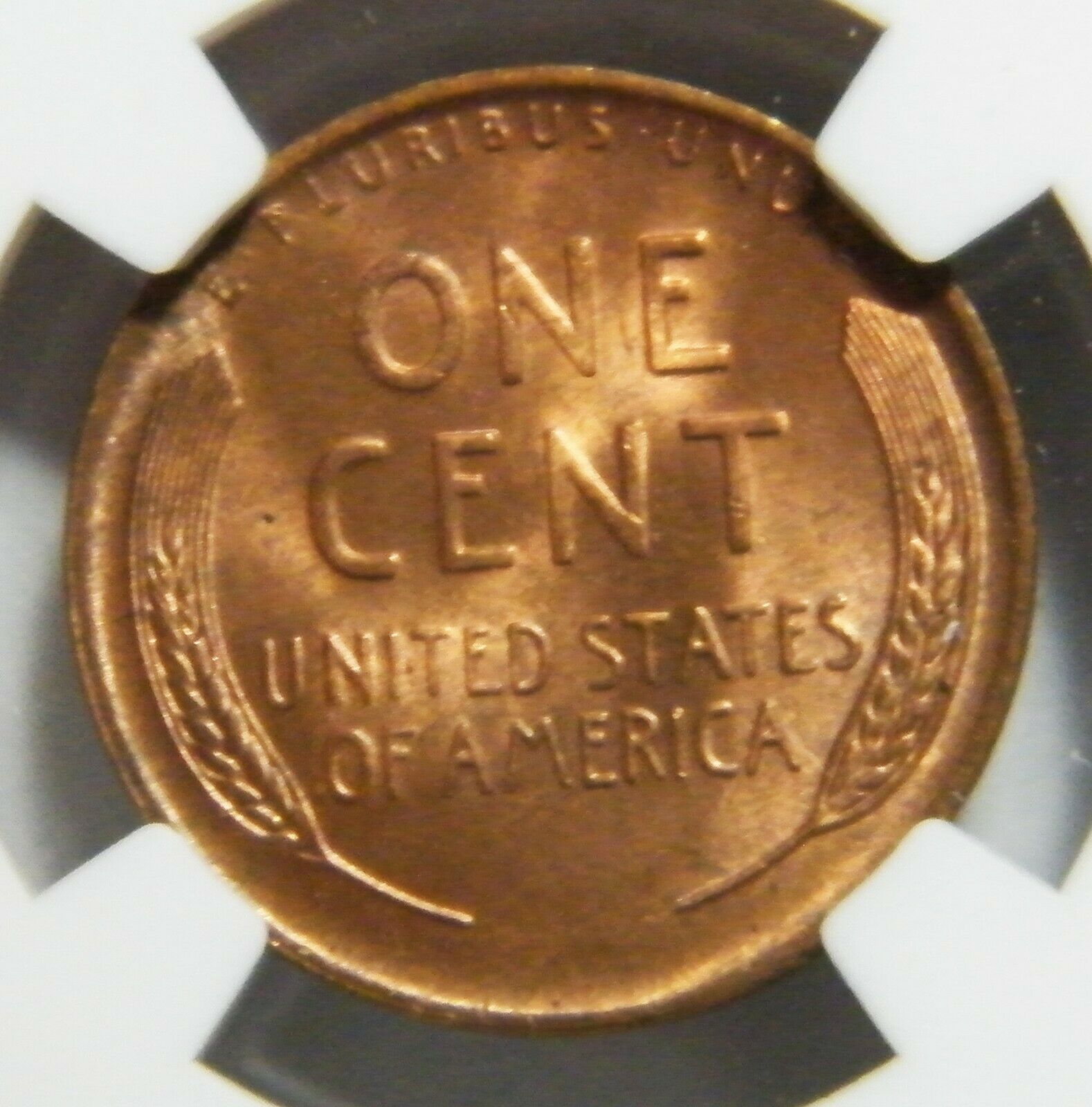 s-l1600.jpg