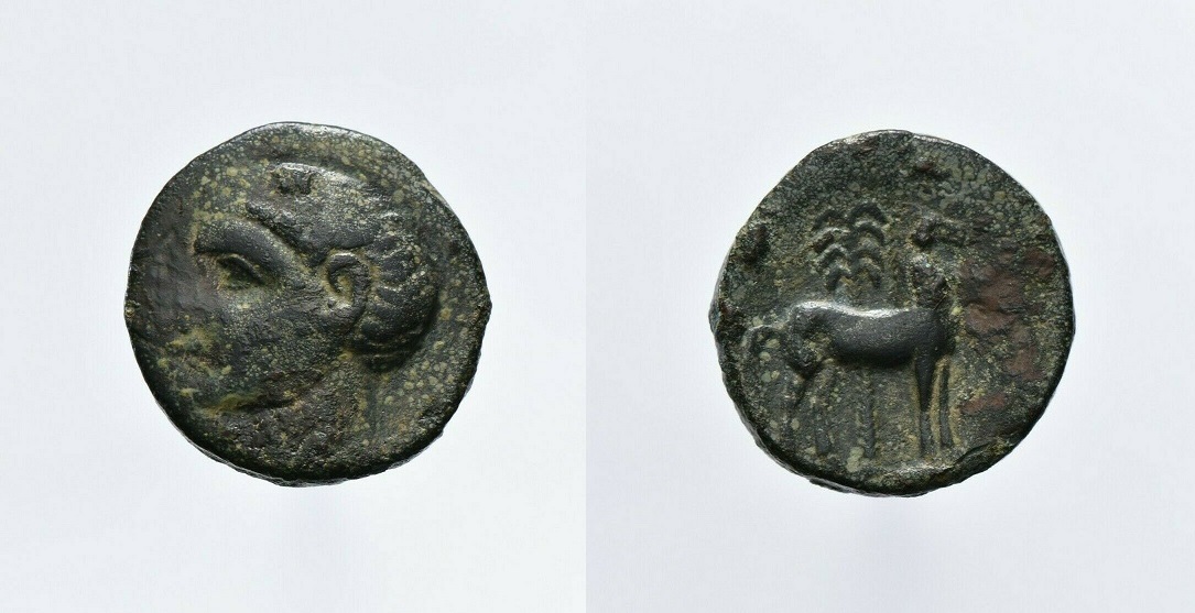 s-l1600SCIPIO.jpg