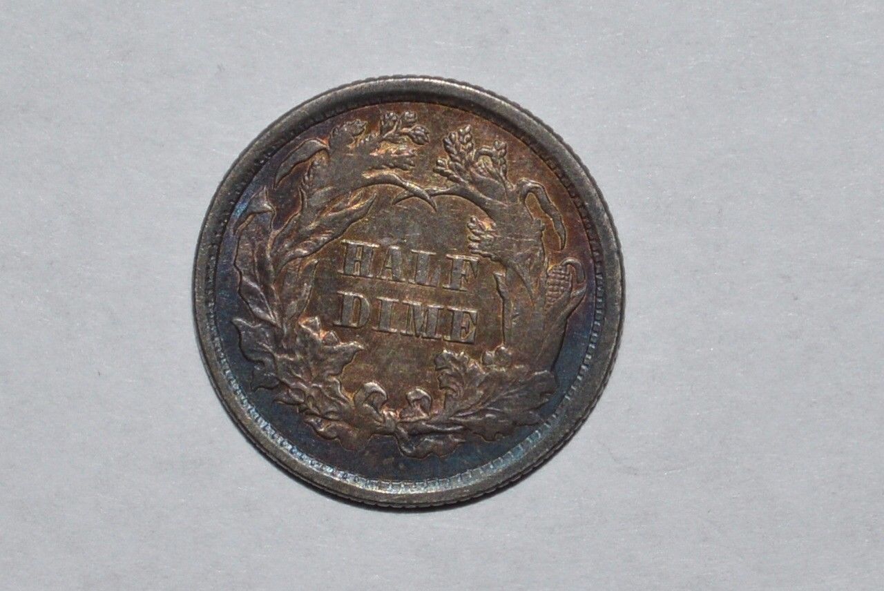 s-l1700.5.jpg