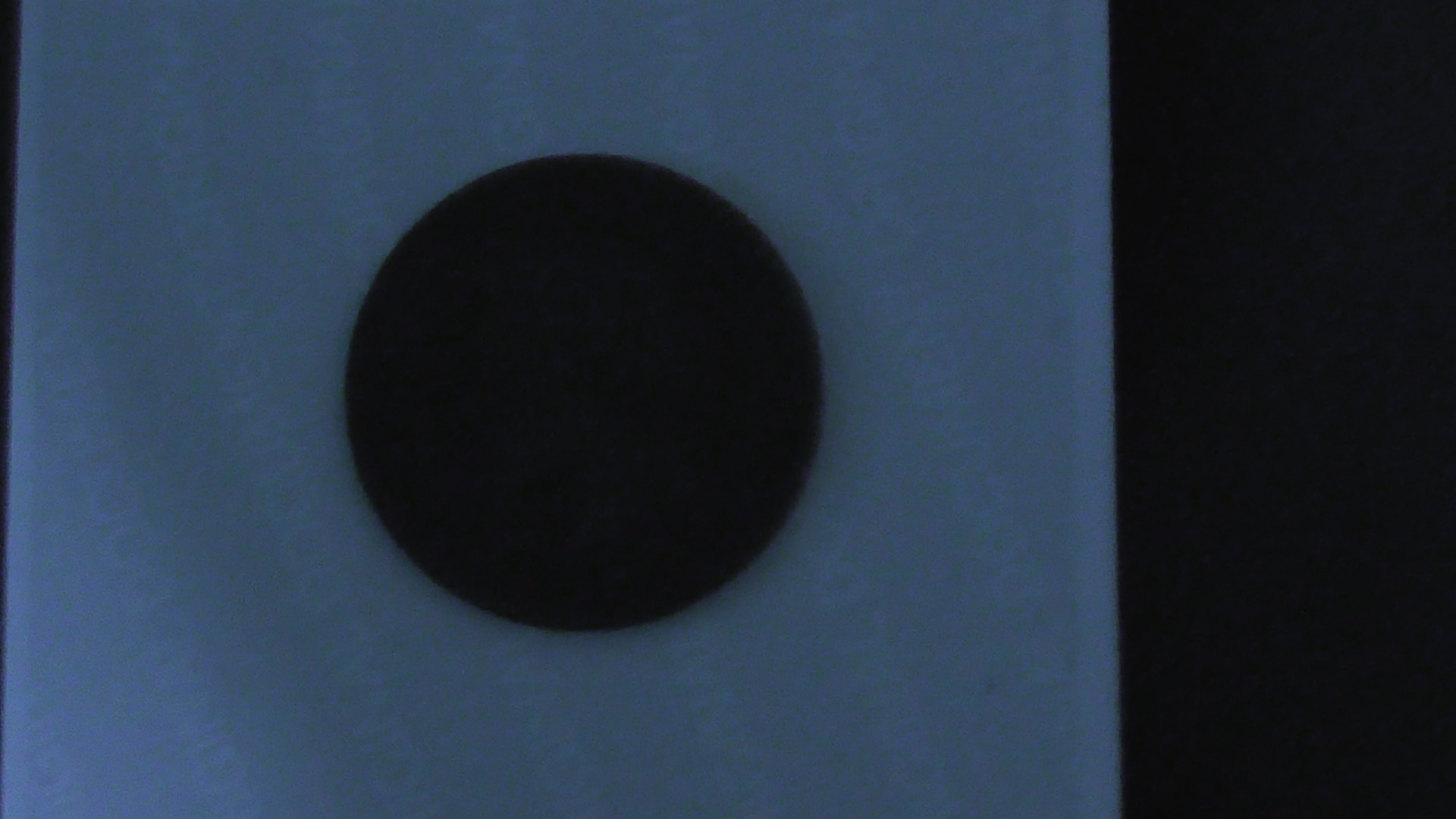 S1010005.JPG