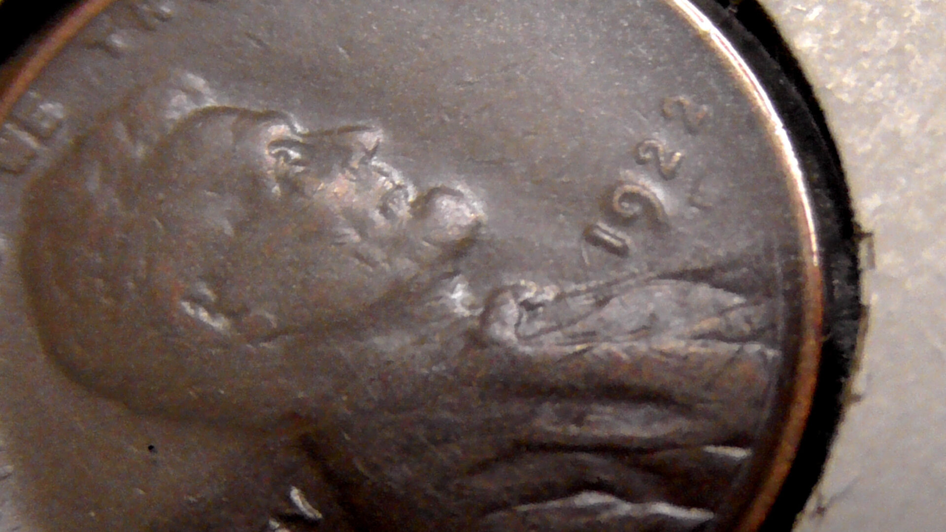 S1370227.JPG