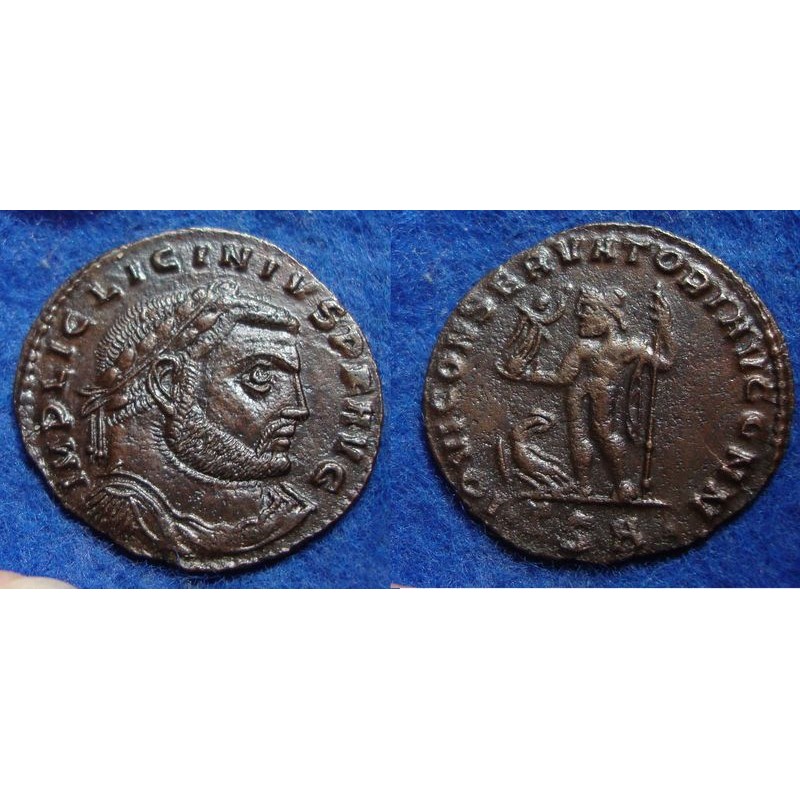 s1825-licinius-1-800x800.jpg