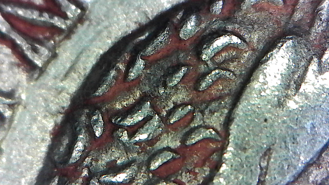 S20151222_0025.jpg