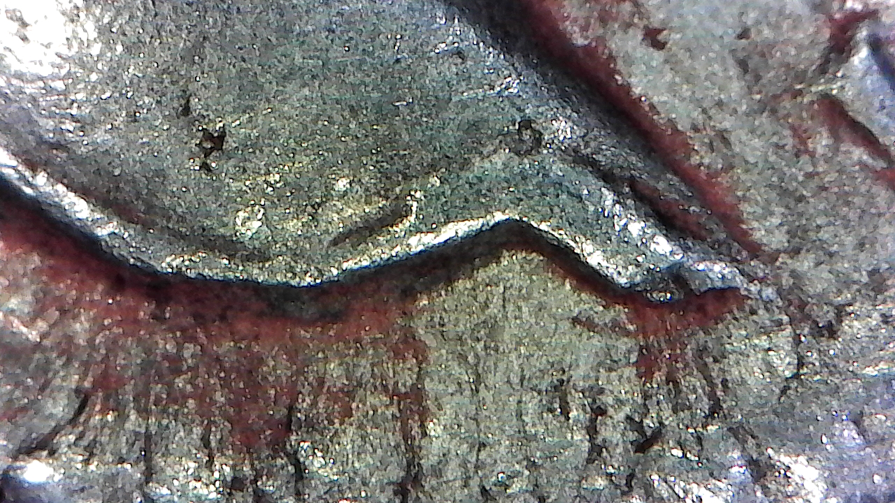 S20151222_0026.jpg
