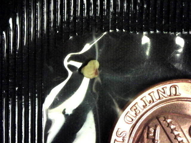 S20160113_005.jpg