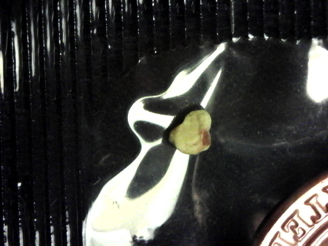 S20160113_006.jpg